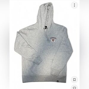 Gray Hoodie Sweater